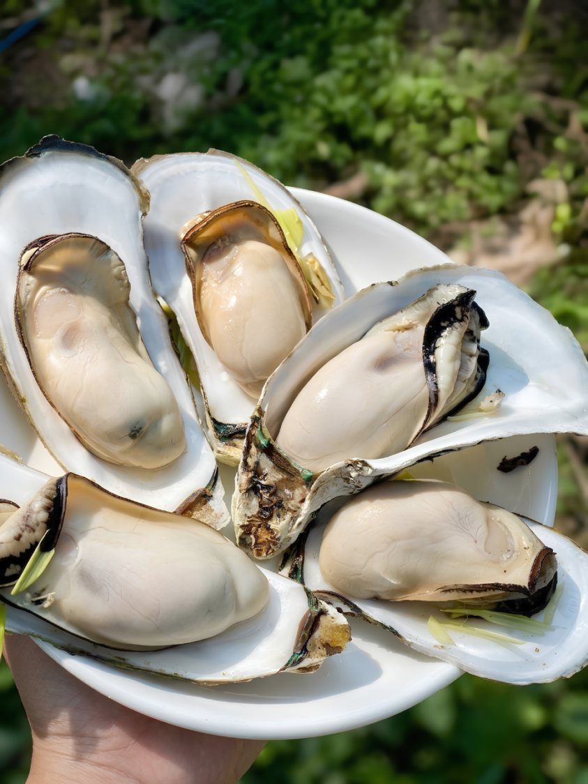 dinh dưỡng fanu meal